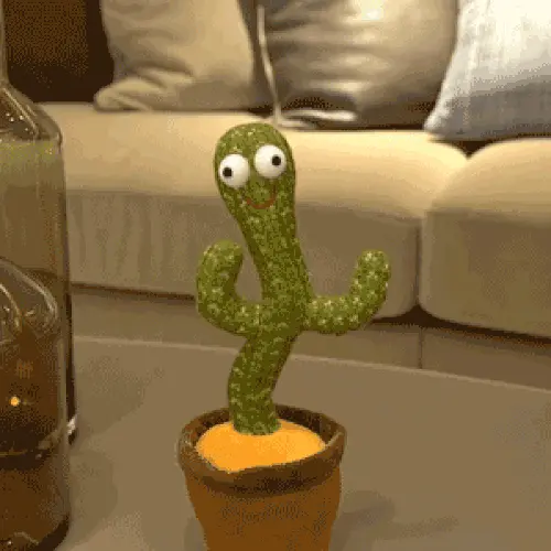 Razigrani Kaktus